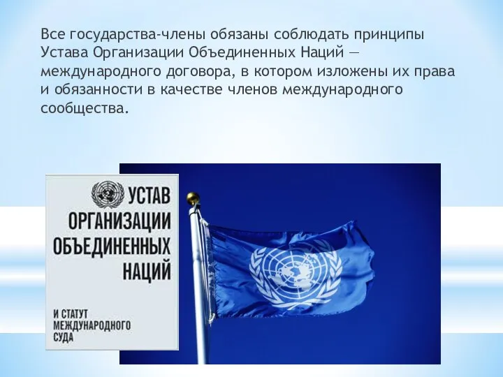 Все государства-члены обязаны соблюдать принципы Устава Организации Объединенных Наций — международного