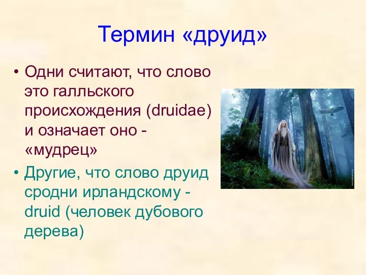 Термин «друид» Одни считают, что слово это галльского происхождения (druidae) и