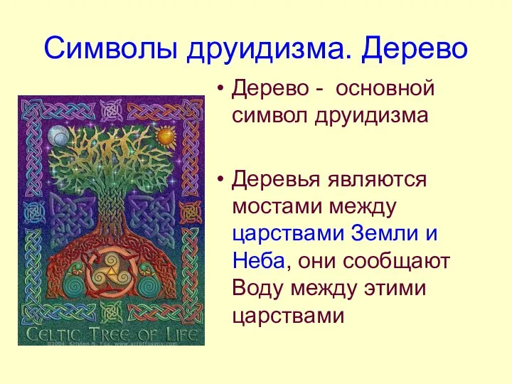 Символы друидизма. Дерево Дерево - основной символ друидизма Деревья являются мостами