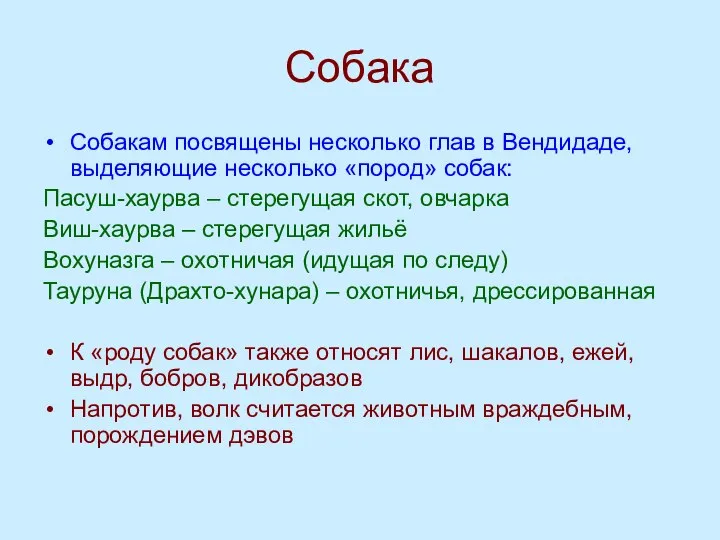 Собака Собакам посвящены несколько глав в Вендидаде, выделяющие несколько «пород» собак: