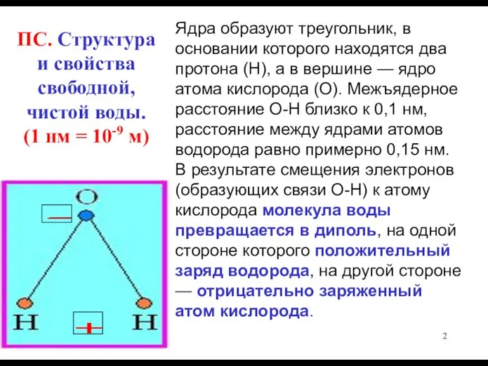 ПС. Структура и свойства свободной, чистой воды. (1 нм = 10-9