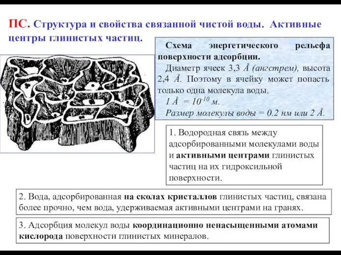 ПС. Структура и свойства связанной чистой воды. Активные центры глинистых частиц.