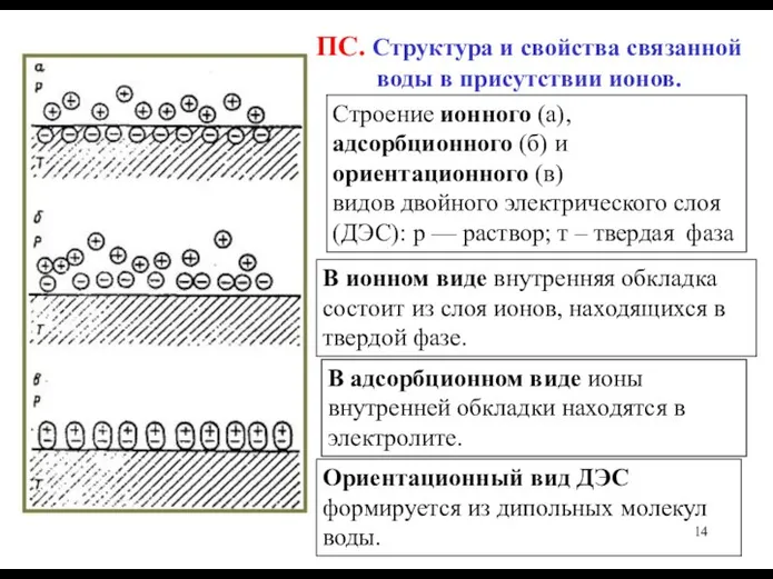 ПС. Структура и свойства связанной воды в присутствии ионов. Строение ионного