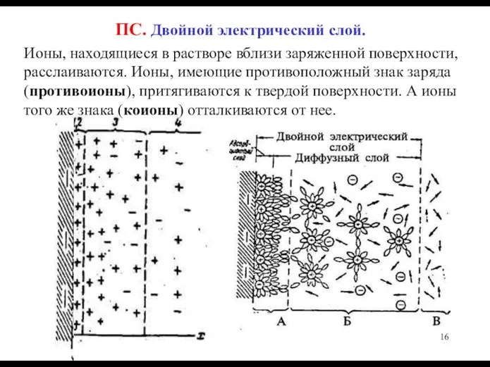 ПС. Двойной электрический слой. Ионы, находящиеся в растворе вблизи заряженной поверхности,