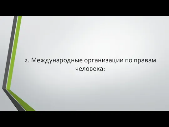 2. Международные организации по правам человека: