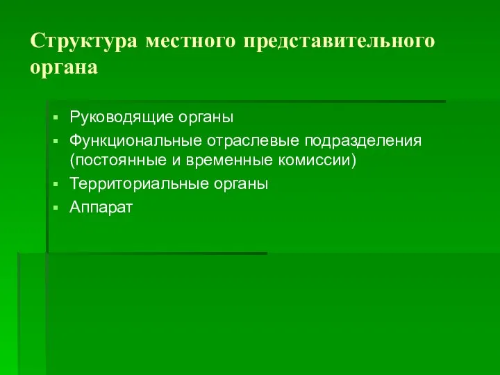 Структура местного представительного органа Руководящие органы Функциональные отраслевые подразделения (постоянные и временные комиссии) Территориальные органы Аппарат