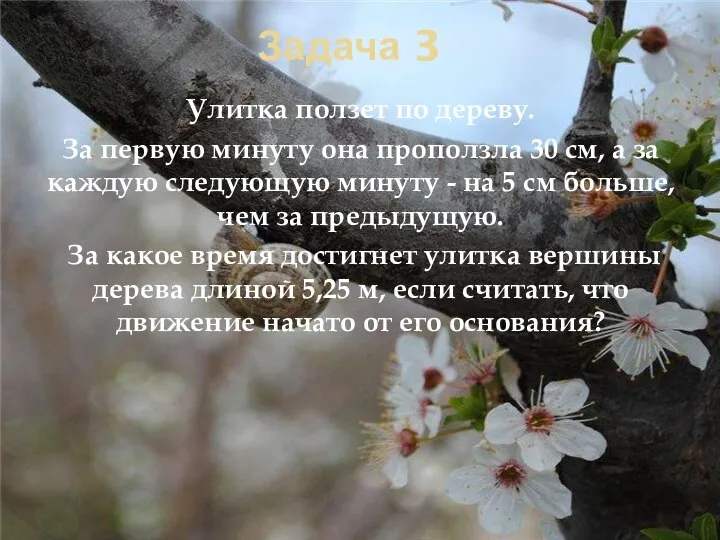 Задача 3 Улитка ползет по дереву. За первую минуту она проползла