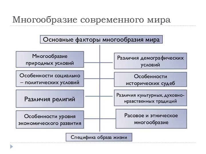 Многообразие современного мира Основные факторы многообразия мира Многообразие природных условий Различия