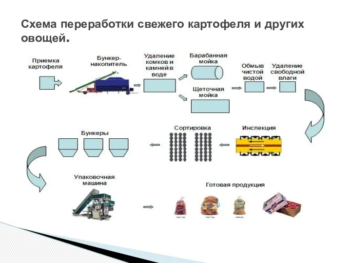 Схема переработки свежего картофеля и других овощей.