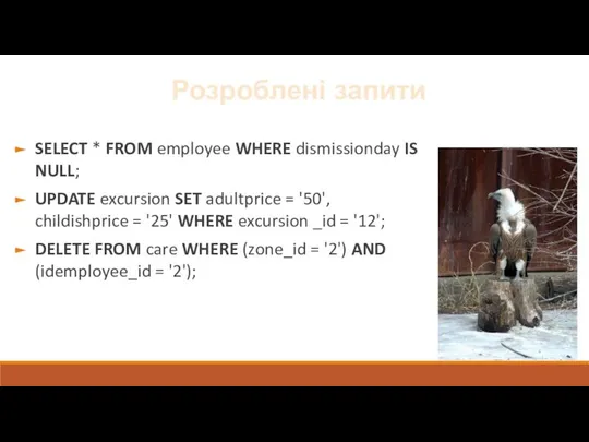 Розроблені запити SELECT * FROM employee WHERE dismissionday IS NULL; UPDATE