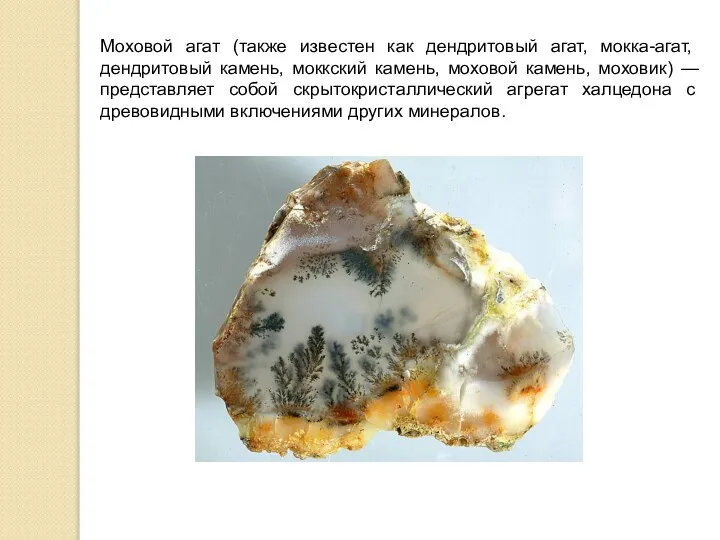 Моховой агат (также известен как дендритовый агат, мокка-агат, дендритовый камень, моккский