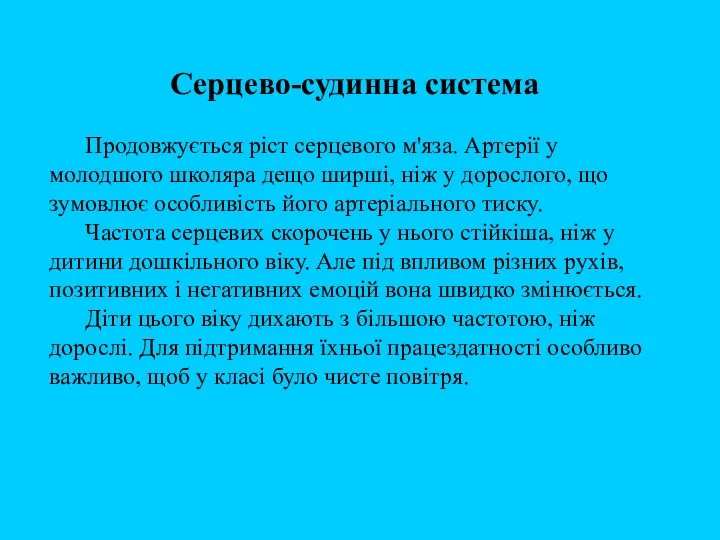 Серцево-судинна система Продовжується ріст серцевого м'яза. Артерії у молодшого школяра дещо