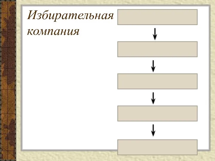 Избирательная компания