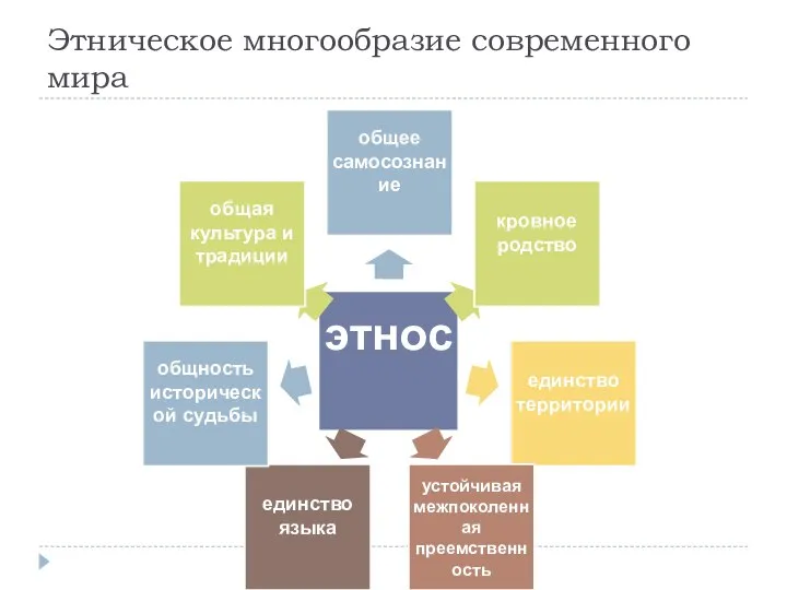 Этническое многообразие современного мира