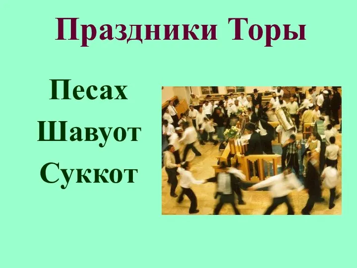 Праздники Торы Песах Шавуот Суккот