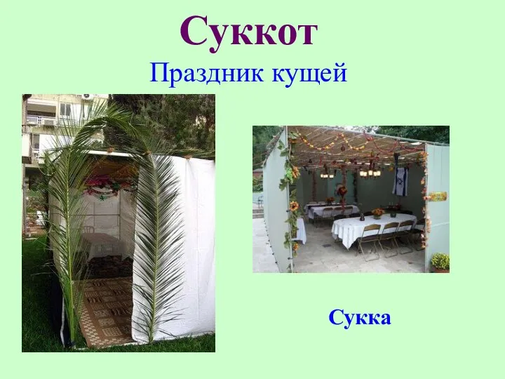 Суккот Праздник кущей Сукка