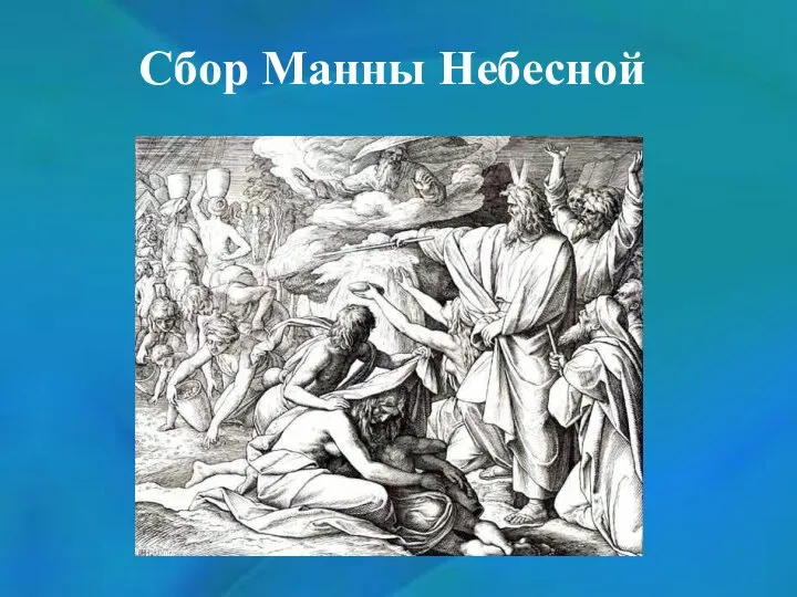 Сбор Манны Небесной