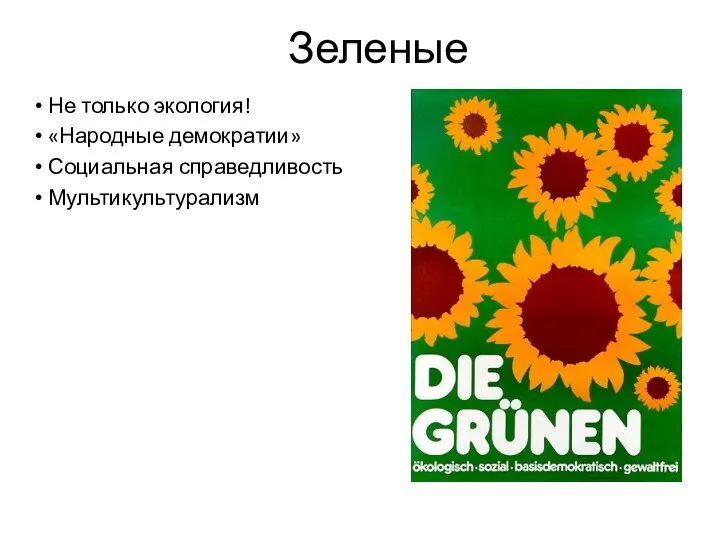 Зеленые Не только экология! «Народные демократии» Социальная справедливость Мультикультурализм