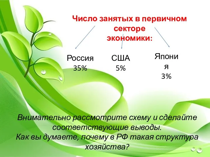 Число занятых в первичном секторе экономики: Россия 35% США 5% Япония
