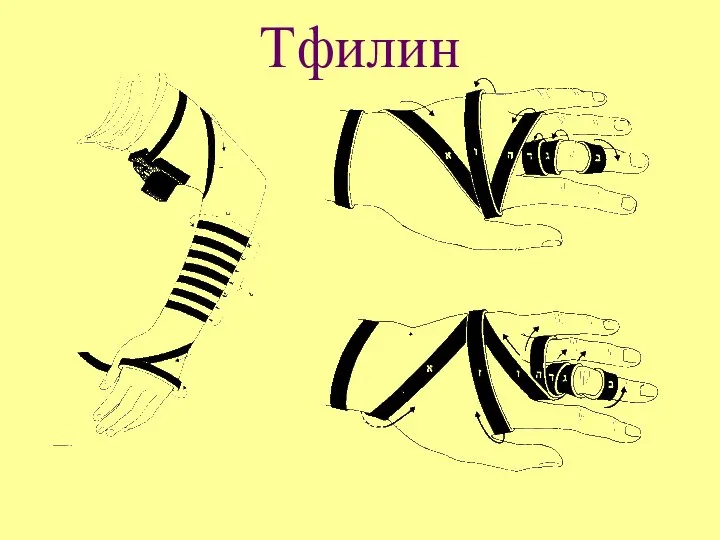 Тфилин