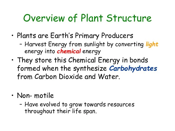 Overview of Plant Structure Plants are Earth’s Primary Producers Harvest Energy