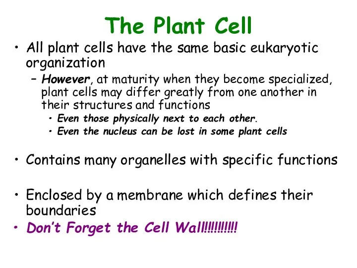 The Plant Cell All plant cells have the same basic eukaryotic