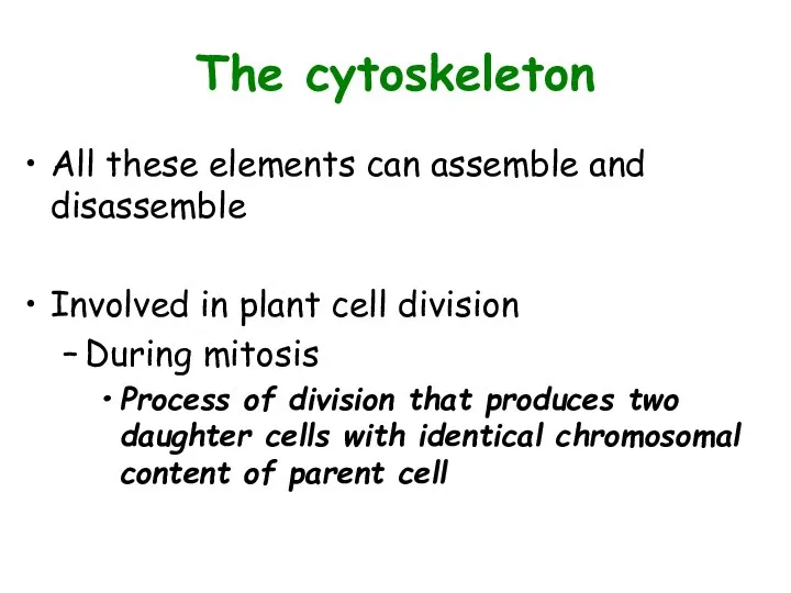 The cytoskeleton All these elements can assemble and disassemble Involved in