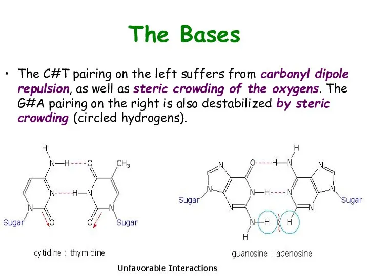 The Bases The C#T pairing on the left suffers from carbonyl