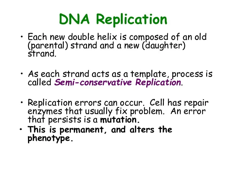 DNA Replication Each new double helix is composed of an old