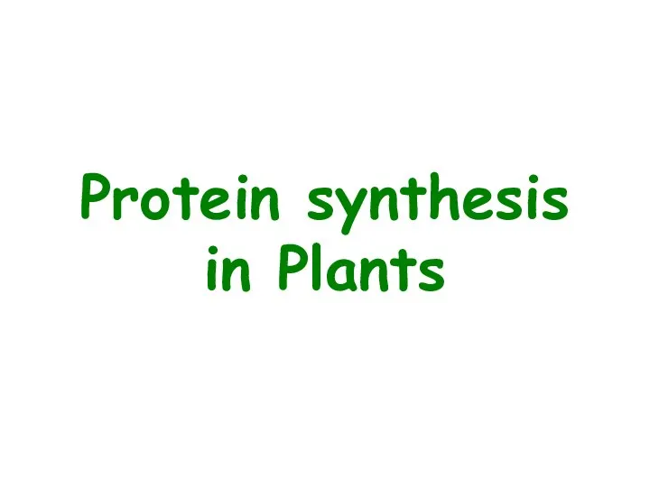 Protein synthesis in Plants