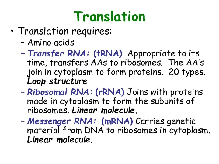 Translation Translation requires: Amino acids Transfer RNA: (tRNA) Appropriate to its