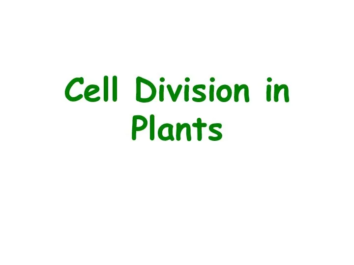 Cell Division in Plants