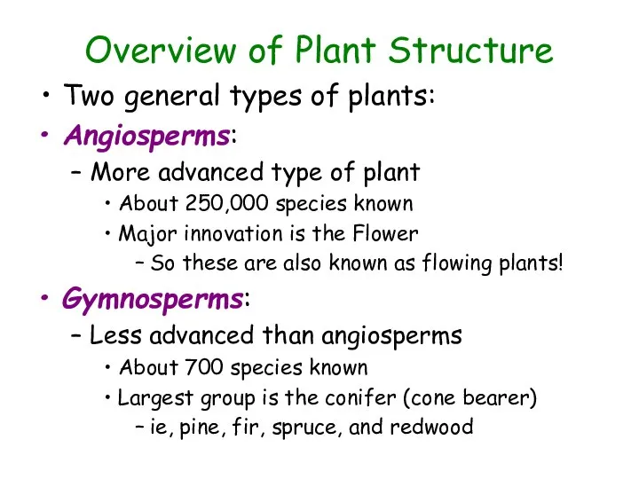 Overview of Plant Structure Two general types of plants: Angiosperms: More