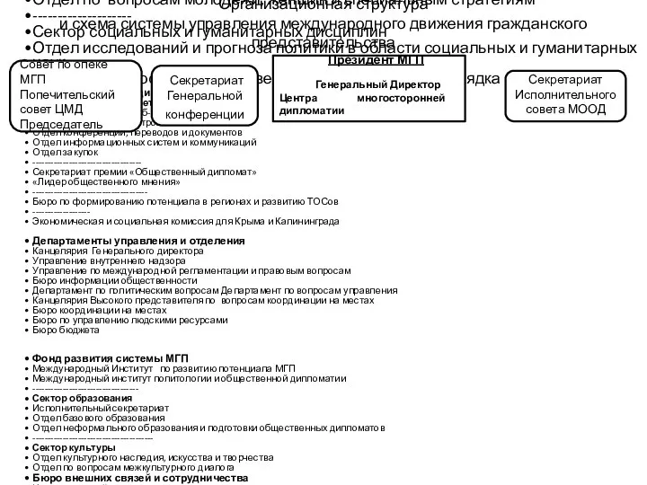 Организационная структура и схема системы управления международного движения гражданского представительства 1