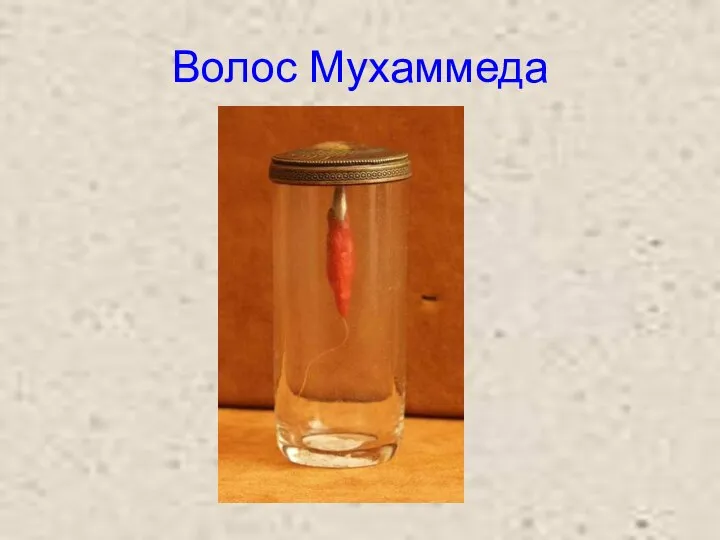 Волос Мухаммеда