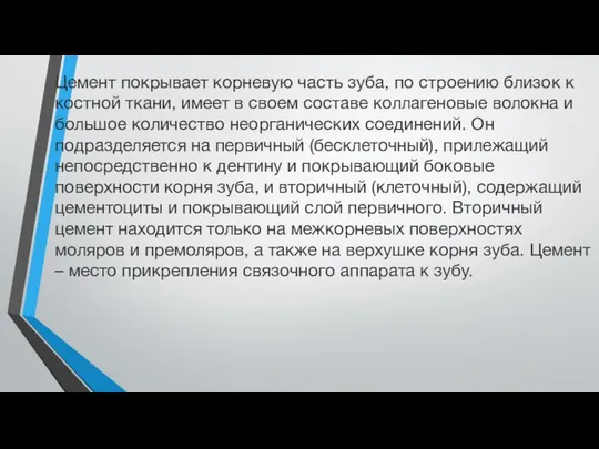 Цемент покрывает корневую часть зуба, по строению близок к костной ткани,