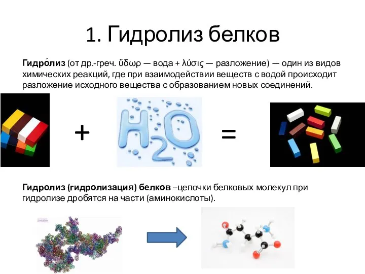 1. Гидролиз белков Гидро́лиз (от др.-греч. ὕδωρ — вода + λύσις