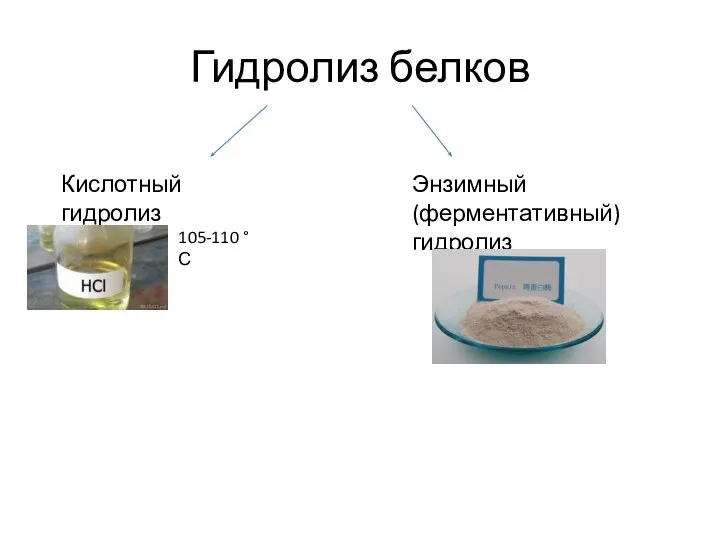 Гидролиз белков Кислотный гидролиз Энзимный (ферментативный) гидролиз 105-110 °С