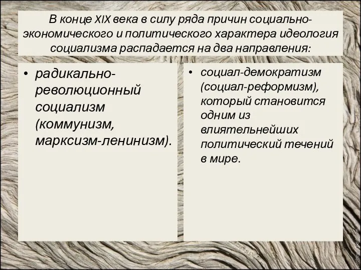 В конце XIX века в силу ряда причин социально-экономического и политического