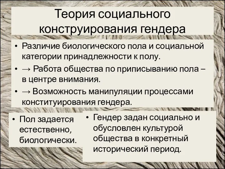 Теория социального конструирования гендера Различие биологического пола и социальной категории принадлежности