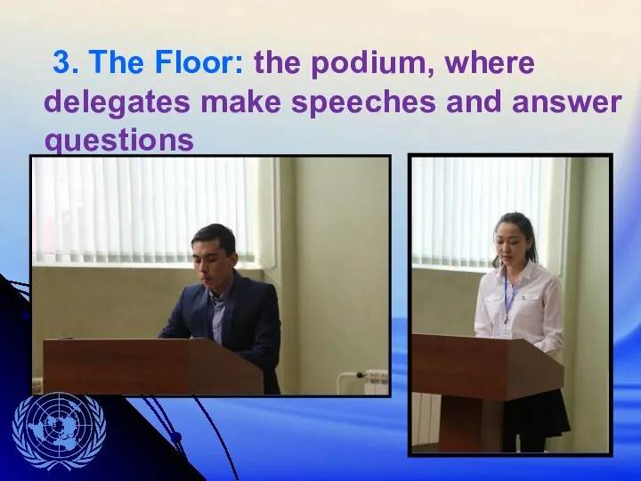 3. The Floor: the podium, where delegates make speeches and answer questions