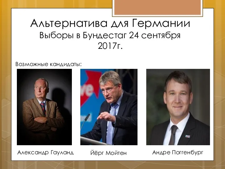 Альтернатива для Германии Выборы в Бундестаг 24 сентября 2017г. Возможные кандидаты: