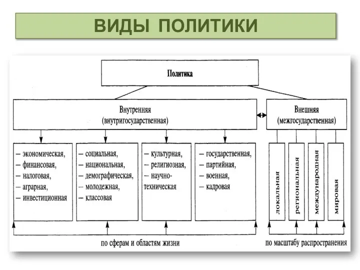 ВИДЫ ПОЛИТИКИ