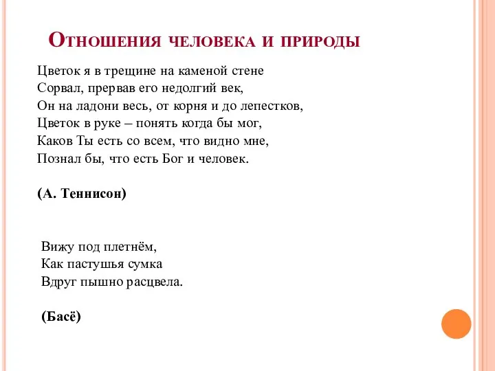 Отношения человека и природы Цветок я в трещине на каменой стене