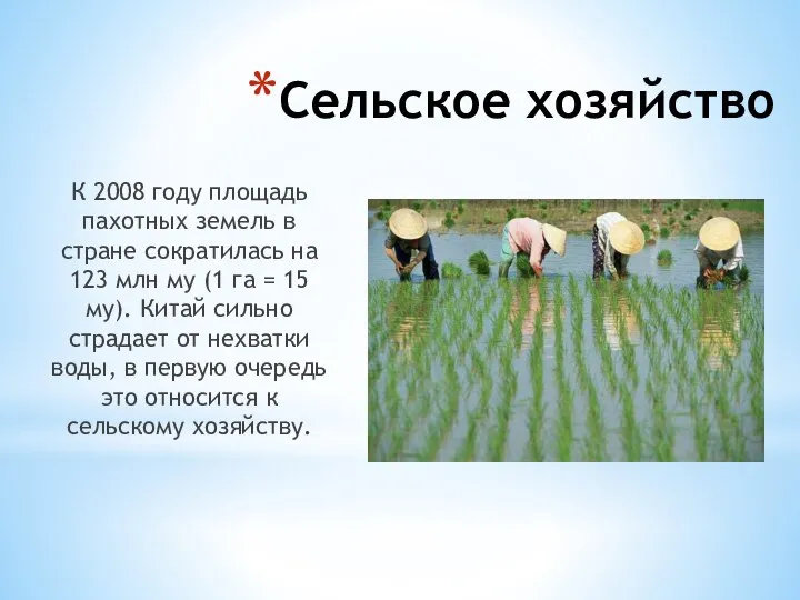 Сельское хозяйство К 2008 году площадь пахотных земель в стране сократилась