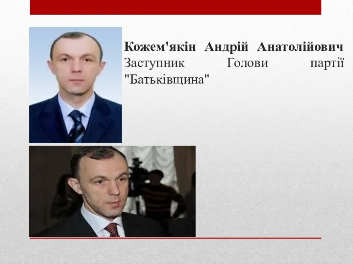 Кожем'якін Андрій Анатолійович Заступник Голови партії "Батьківщина"