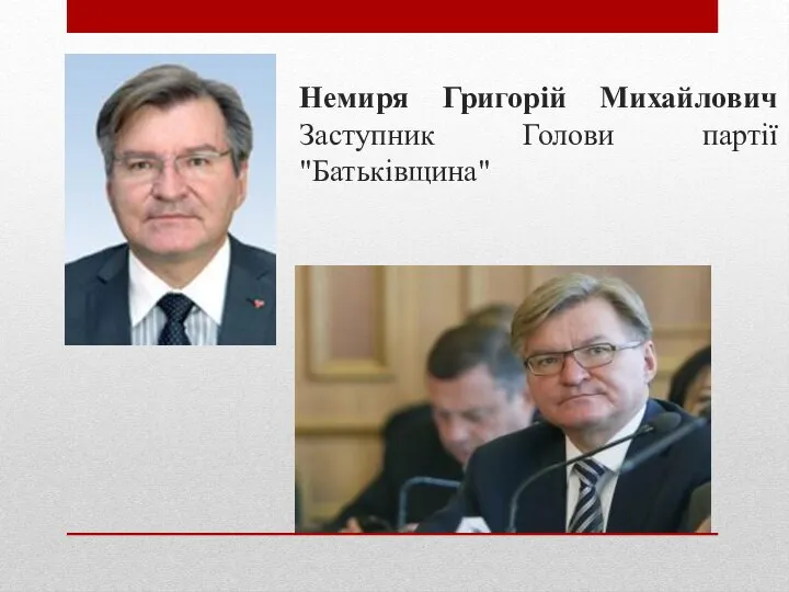 Немиря Григорій Михайлович Заступник Голови партії "Батьківщина"