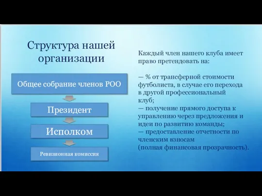 Структура нашей организации Общее собрание членов РОО Президент Исполком Ревизионная комиссия