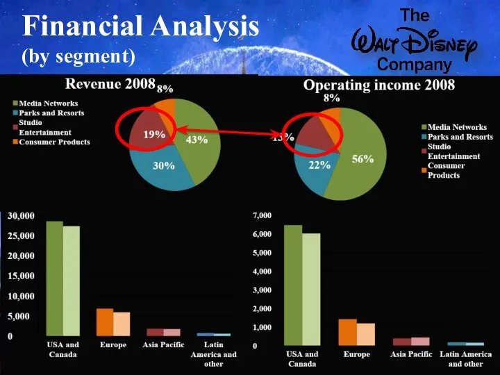 Financial Analysis (by segment)