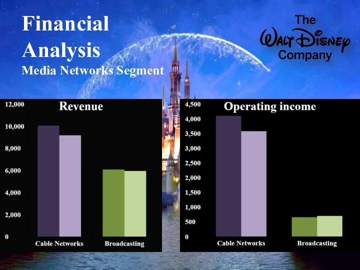 Financial Analysis Media Networks Segment